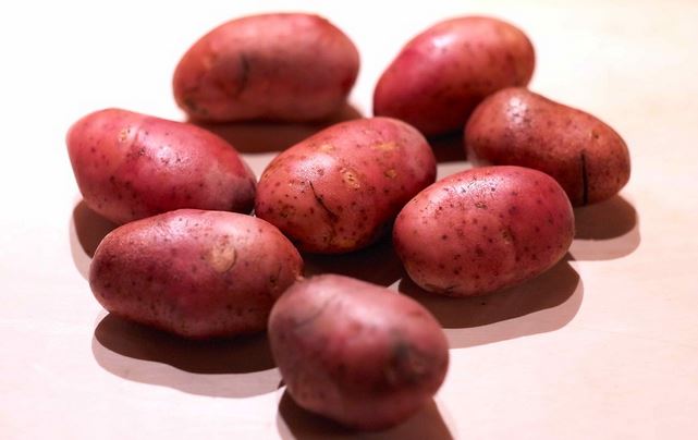 Крупный картофель Аштарак
