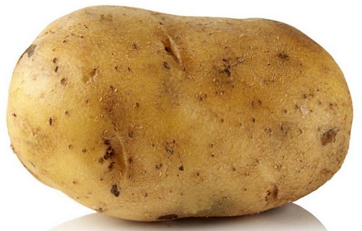 Крупный картофель Хаммонд