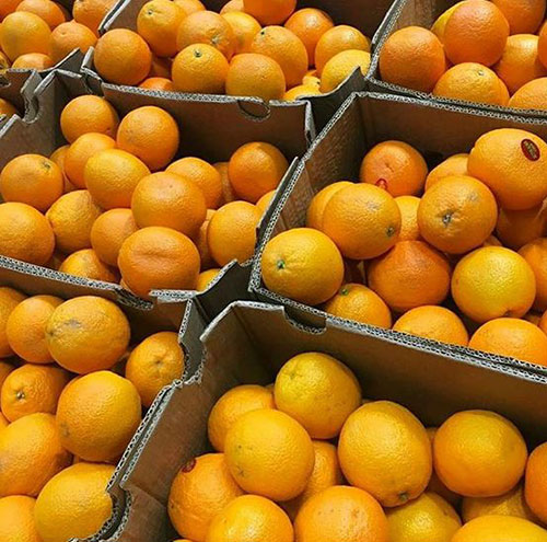 Апельсины оптом Байрамали