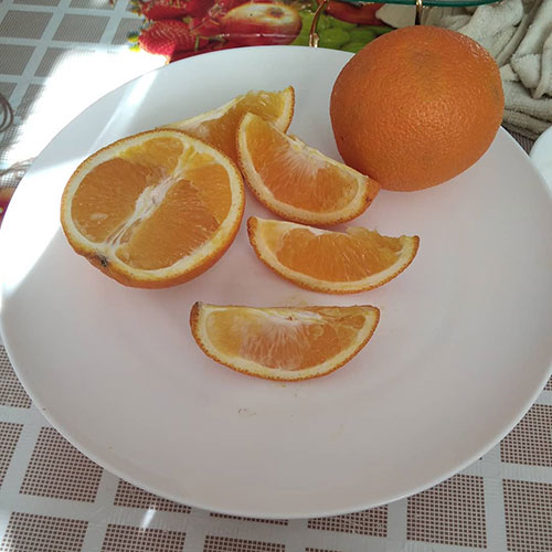 Апельсины оптом Белвью-В