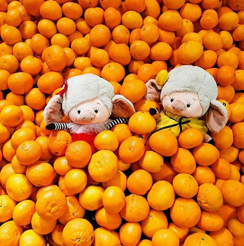 Апельсины оптом Федерал-Уэй