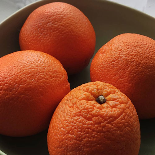 Апельсины оптом Инвер-Гров-Хайтс